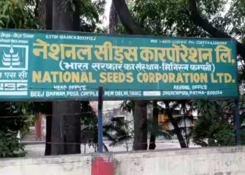 National Seeds Corporation Program