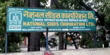 National Seeds Corporation Program