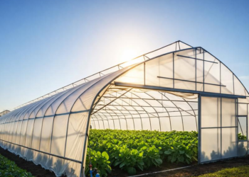 Polyhouse and Greenhouse Policy 2026