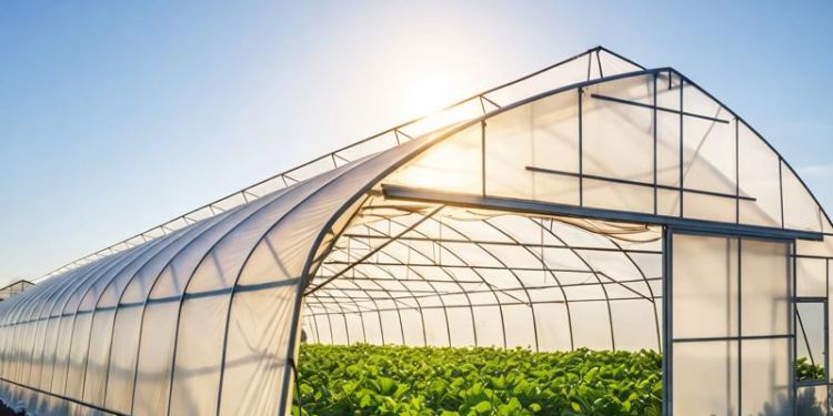 Polyhouse and Greenhouse Policy 2026