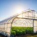 Polyhouse and Greenhouse Policy 2026