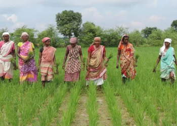 Rashtriya Krishi Vikas Yojana