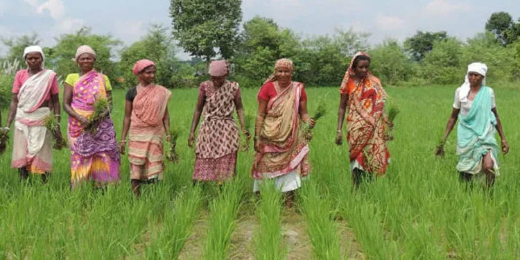 Rashtriya Krishi Vikas Yojana