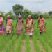 Rashtriya Krishi Vikas Yojana