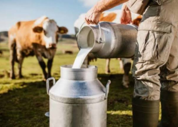 Rural Milk Collection Scheme
