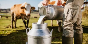 Rural Milk Collection Scheme