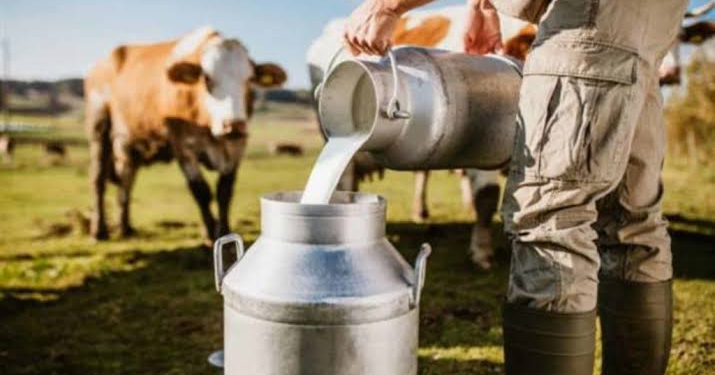 Rural Milk Collection Scheme