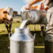 Rural Milk Collection Scheme