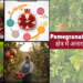 Pomegranate Farming