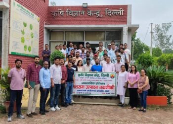 मशरूम उत्पादन बना स्वरोजगार का नया माध्यम, कृषि विज्ञान केंद्र उजवा का 10 दिवसीय प्रशिक्षण सफलतापूर्वक संपन्न