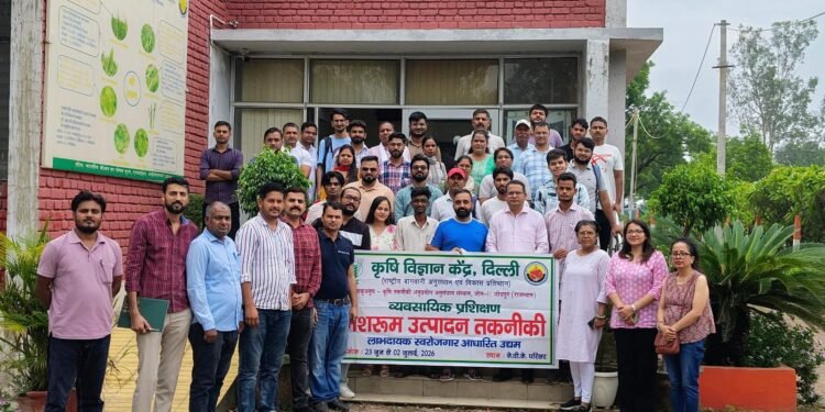 मशरूम उत्पादन बना स्वरोजगार का नया माध्यम, कृषि विज्ञान केंद्र उजवा का 10 दिवसीय प्रशिक्षण सफलतापूर्वक संपन्न