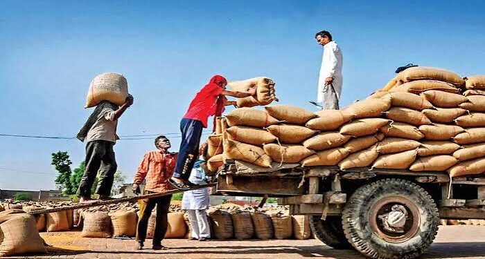 विश्व की सबसे बड़ी अनाज भंडारण योजना से ग्रामीण भारत को मिलेगी नई ताकत, 1,015 परियोजनाओं को मिली मंजूरी