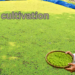Indian farmer holding fresh Azolla near a green Azolla pond, showing Azolla cultivation as low-cost nutritious feed for livestock in India.