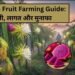 Dragon fruit farming
