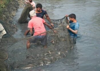 PMMSY से बदलेगी अंतर्देशीय मत्स्य पालन की तस्वीर, उत्तर प्रदेश को ₹1,294 करोड़ की परियोजनाओं की मंजूरी