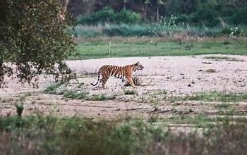 दुर्लभ वनस्पतियों और जीवों के संरक्षण का केंद्र बनेगा संग्रहालय