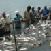 Blue Economy को मिलेगी नई गति