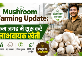 Mushroom Farming