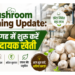 Mushroom Farming