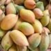 TotaPuri Mango