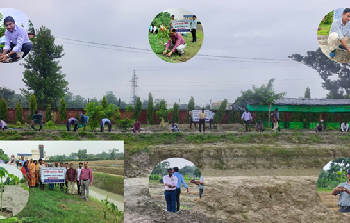स्वच्छता अभियान में कांग्रेस घास के दुष्प्रभावों पर जागरूकता