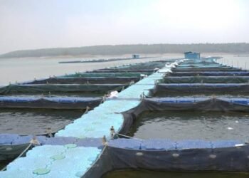 देशभर में बनेंगे 12 Integrated Aqua Parks, ₹713.80 करोड़ की परियोजना से Fisheries Sector को मिलेगी नई ताकत