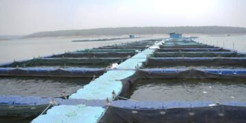 देशभर में बनेंगे 12 Integrated Aqua Parks, ₹713.80 करोड़ की परियोजना से Fisheries Sector को मिलेगी नई ताकत