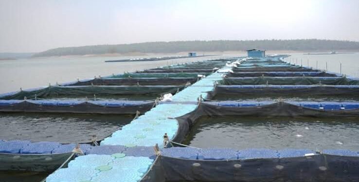 देशभर में बनेंगे 12 Integrated Aqua Parks, ₹713.80 करोड़ की परियोजना से Fisheries Sector को मिलेगी नई ताकत