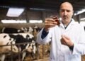 Zoonotic diseases: diseases that spread between humans and animals