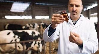 Zoonotic diseases: diseases that spread between humans and animals