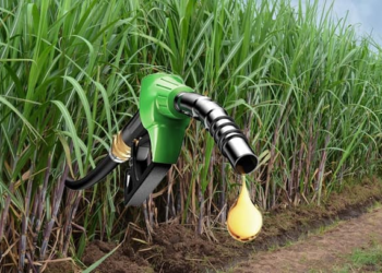 जानें क्या है Ethanol Niti: किसानों, वाहन मालिकों और देश की अर्थव्यवस्था पर इसका प्रभाव