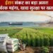 Thumbnail Text ईरान संकट का बड़ा असर! उर्वरक महंगा, खाद्य सुरक्षा पर खतरा