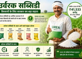 उर्वरक सब्सिडी