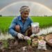 जिंक और बोरॉन ka use karte hue kisan