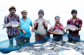 Fish Farmer Samriddhi Co-Plan