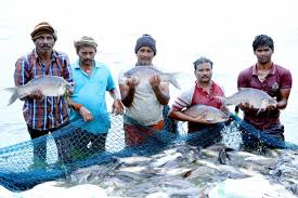 Fish Farmer Samriddhi Co-Plan