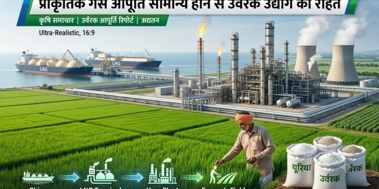 प्राकृतिक गैस आपूर्ति सामान्य होने से उर्वरक उद्योग को राहत
