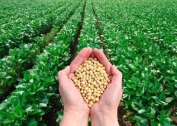 Registration of 5346 farmer varieties,
