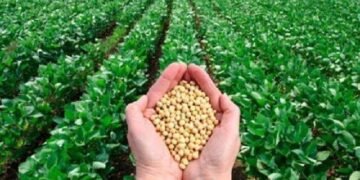 Registration of 5346 farmer varieties,