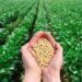Registration of 5346 farmer varieties,