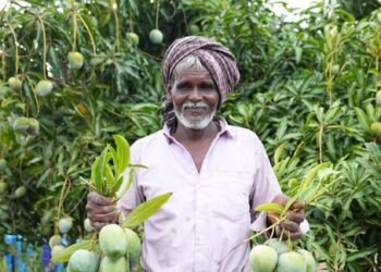 APEDA की रणनीति से मिलेगा किसानों को लाभ