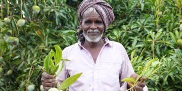 APEDA की रणनीति से मिलेगा किसानों को लाभ