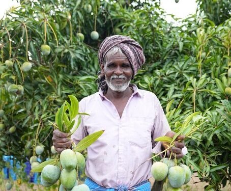 APEDA की रणनीति से मिलेगा किसानों को लाभ