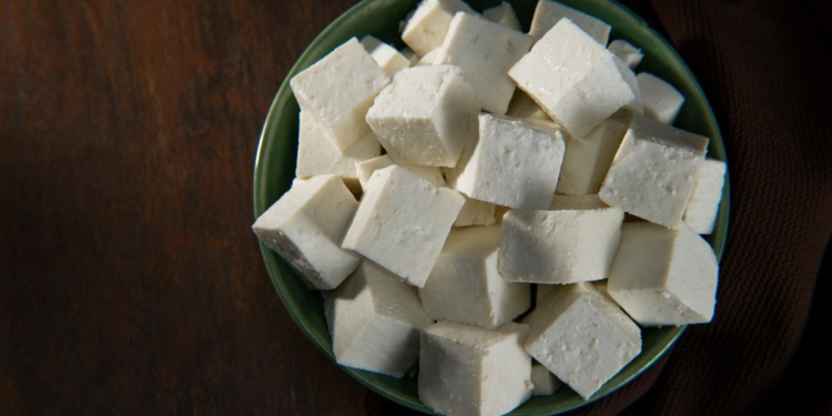 Analogue Paneer