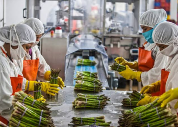 Assam Food Processing Industry