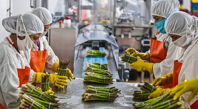 Assam Food Processing Industry
