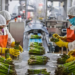 Assam Food Processing Industry