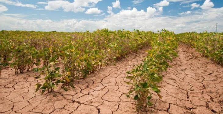 डॉ. डेनिस गैरेट्री का PAU से पुराना संबंध
