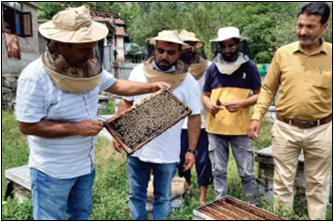 मधुमक्खी पालन से कृषि उत्पादकता बढ़ाने पर भी जोर