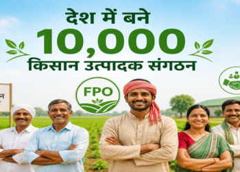 देश में बने 10,000 किसान उत्पादक संगठन,